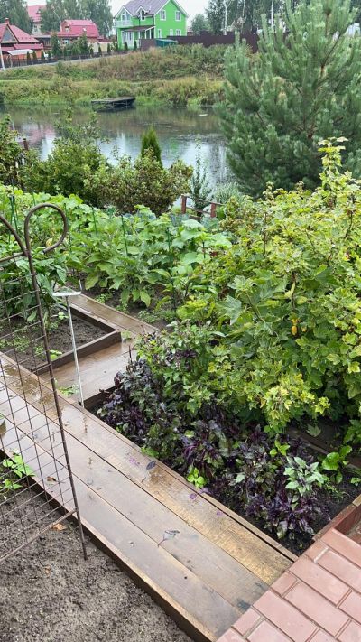 photo 63f3d81a4c192_thumb.jpg