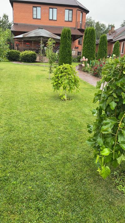 photo 63f3d81bc4595_thumb.jpg