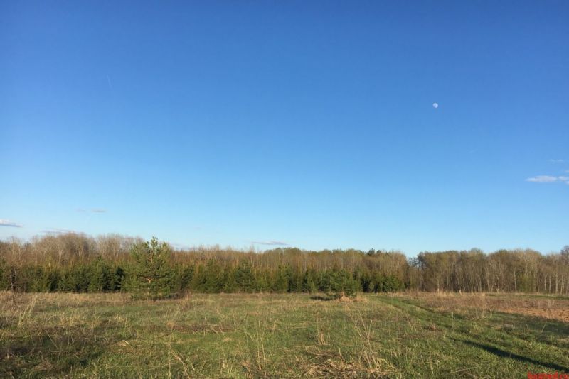 Продажа участков в Раздоры